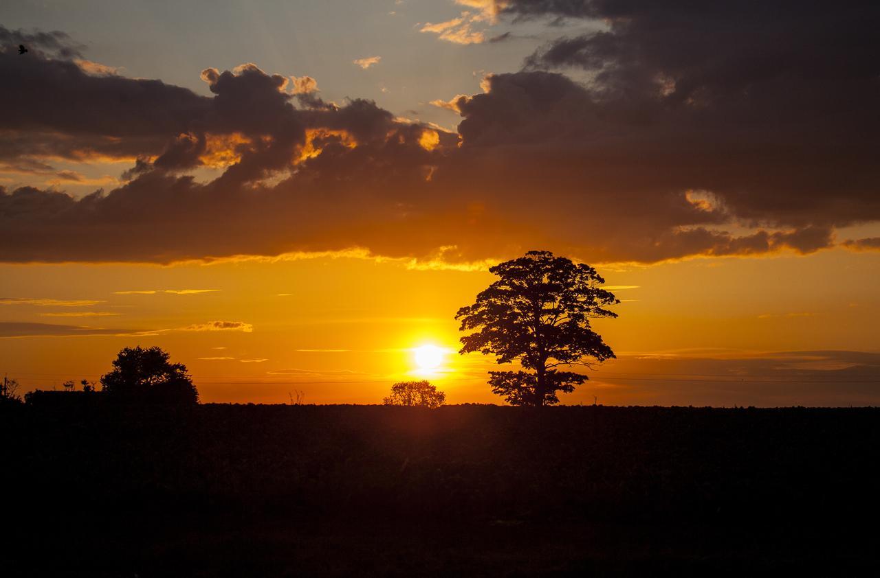 Friskney Sunset House Bed & Breakfast エクステリア 写真